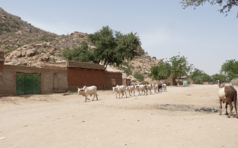 Landschaft Tschad