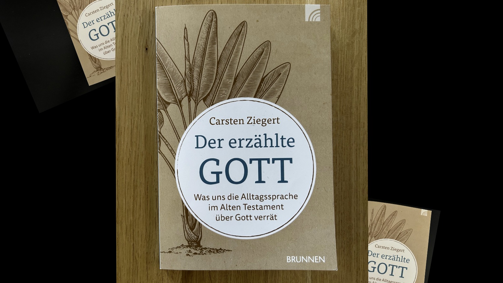Buchcover - der erzahlte Gott.