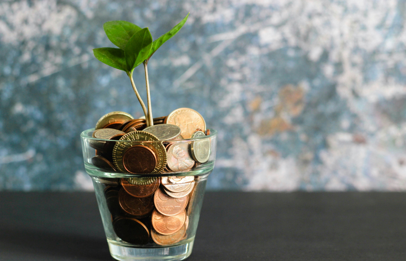 Glas mit Geld und Pflanze